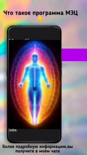 Что такое ПРОГРАММЫ МЭЦ