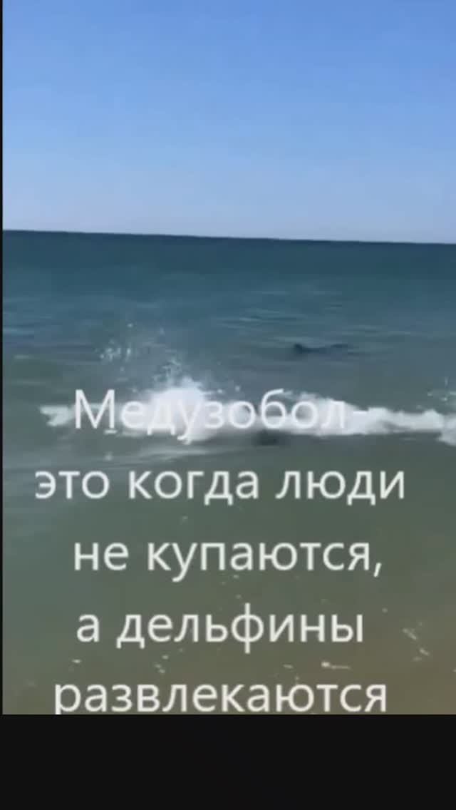 медузабол
