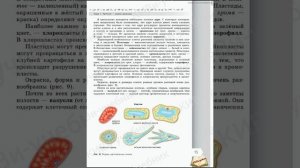 Биология 6 класс. §2.
