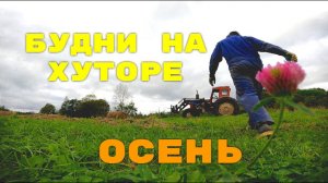 БУДНИ НА ХУТОРЕ ЗАГАЙКИ.  Осень 2025