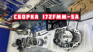 КАК СОБРАТЬ ДВИГАТЕЛЬ 172 FMM-5 REGULMOTO 003 ]