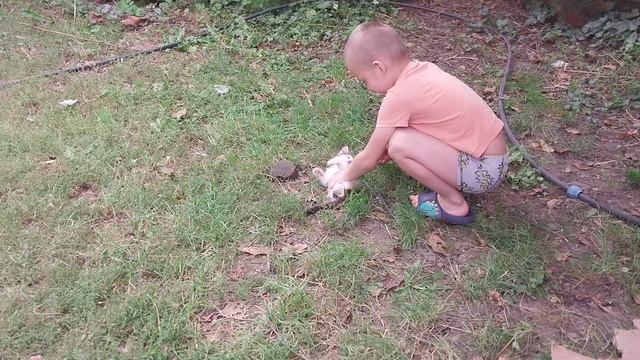 Бинго :) смотреть онлайн