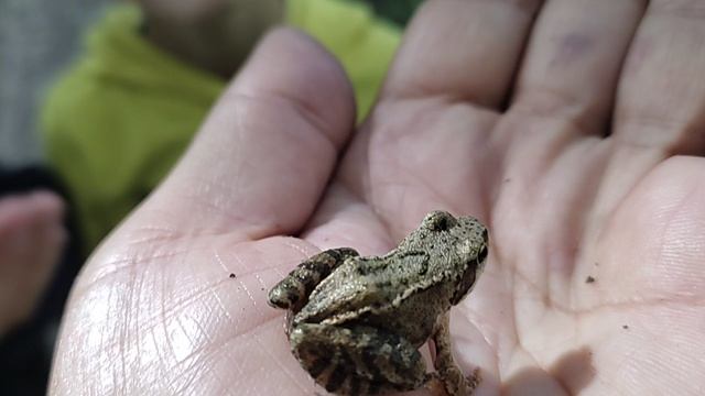 Единственная ЗВЕРУШКА -встретилась нам ...