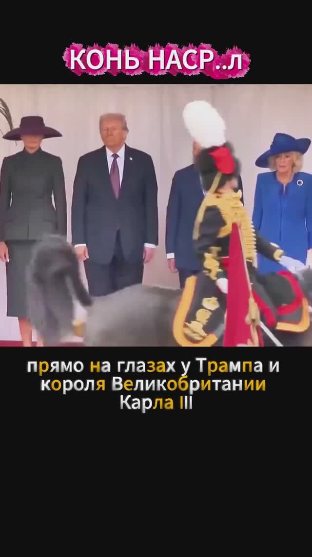 Конь наср..л прямо перед Трампом смотреть онлайн