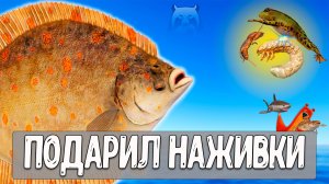 Вот что получилось у меня на Норвежском море в турнире #рр4