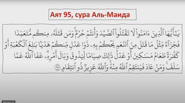 Аят который содержит в себе почти все правила таджвида смотреть онлайн