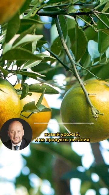 Неустойчивая дефляция смотреть онлайн