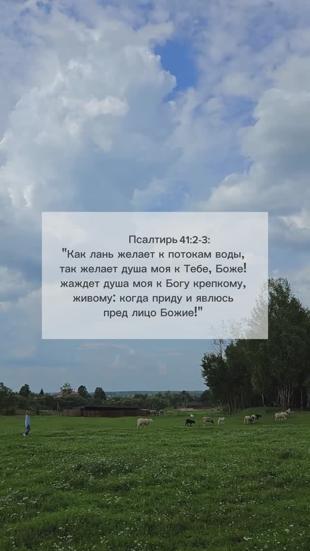 Как лань желает к потокам воды смотреть онлайн