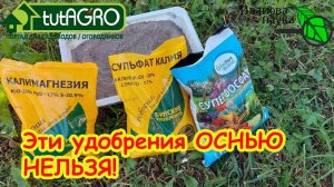ЭТИ УДОБРЕНИЯ ОСЕНЬЮ ИСПОЛЬЗОВАТЬ НЕЛЬЗЯ! Не наделайте ошибок осенью.