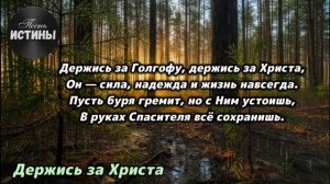 🎶Держись за Христа