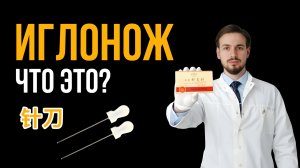 ИГЛОНОЖ Что это? Как работает?