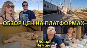 Поезд Москва Лазаревское 🚆 Цены на платформах на продукты в Лихой и Ростове Едим в нашем купе