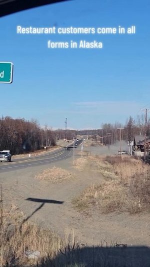 Кадры с Аляски: местный житель покидает закусочную на личном самолете, прямо как в GTA #shorts