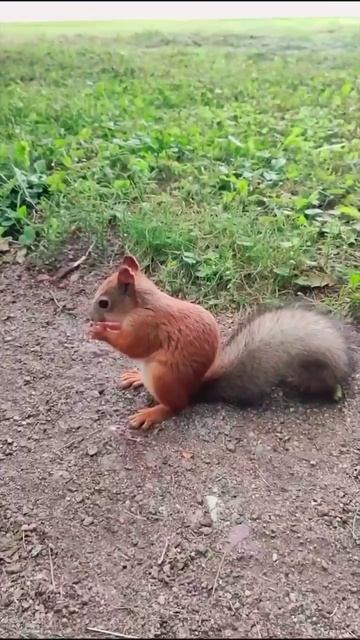 Есть только миг)