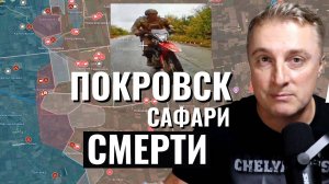 Украинский фронт - дальше катится Днепропетровское. Серебрянский лес все. Покровск сафари. 20.09.25