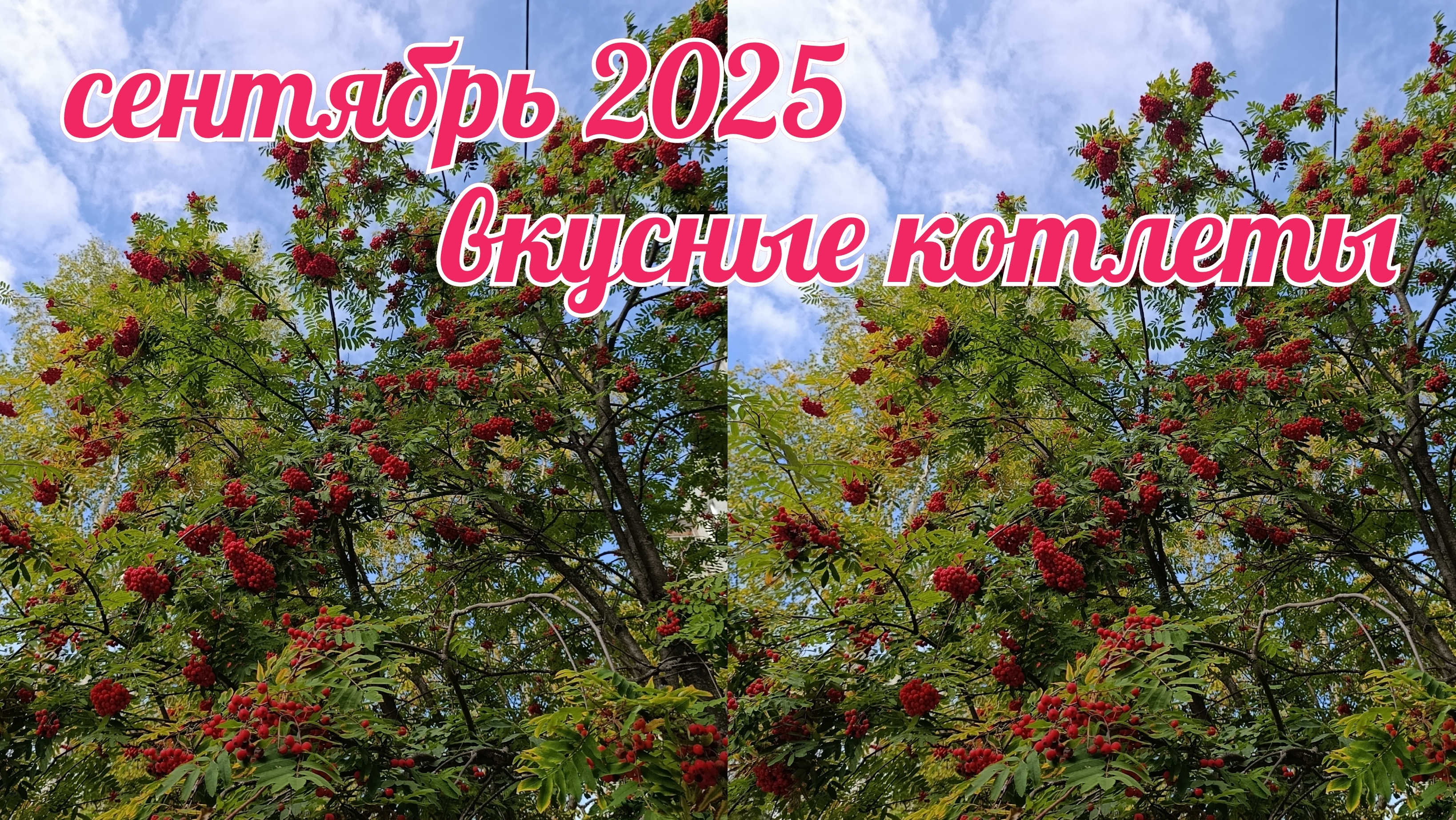 Осенний влог// распаковка подарка// делаю любимые котлетки детей//