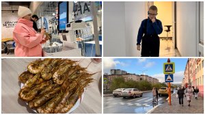 Норильск/Готовим вкусняшки/Холодает/Отвела душу/Дома тепло.