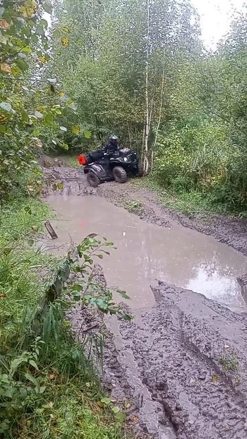 Экспедиция на двух BM500 в дер.Островное по заброшенной узкоколейке. #шортс #квадроцикл #baltmotors смотреть онлайн