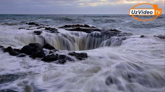 Okeanlarni Yanada Ham Sirli Qiladigan 10 Faktlar !!!