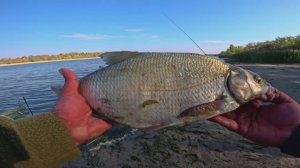 Рыбалка с Ночевкой на Реке ДОН станица БАГАЕВСКАЯ