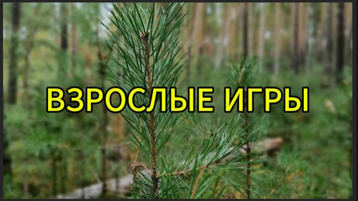 Взрослые игры смотреть онлайн