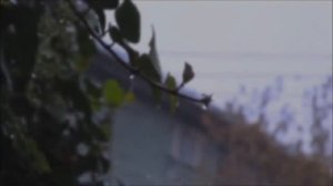 ЭТО СЛЕЗЫ АНГЕЛОВ~It is the tears of angels...Музыка для души Эдгар Туниянц.Music for the soul