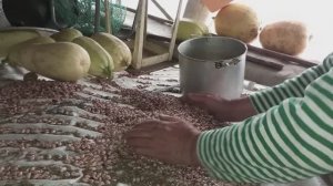 КУПИЛА МУЖУ ТЁПЛЫЕ КАЛОШКИ, УБИРАЕМ 16кг ФАСОЛИ, НАШЛИ ПОКУПКИ