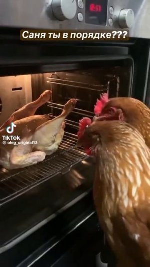 Саня ты в порядке