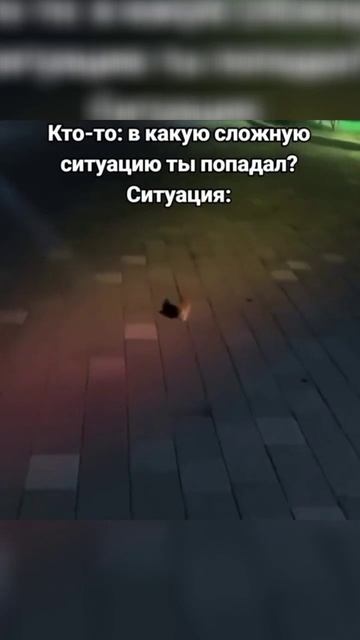232 смотреть онлайн