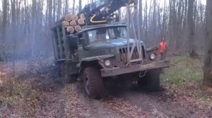 Гружёные лесовозы по бездорожью