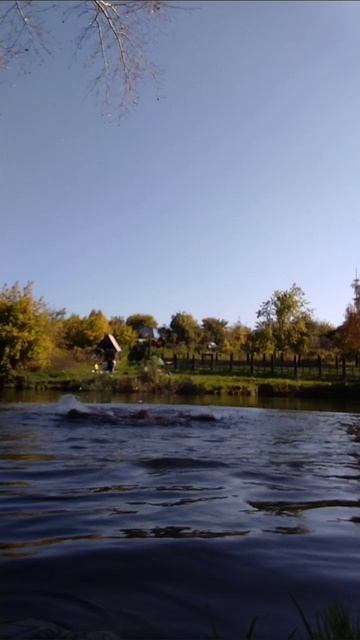 заплыв смотреть онлайн