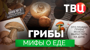 Мифы о еде. Грибы. Документальный фильм ТВЦ