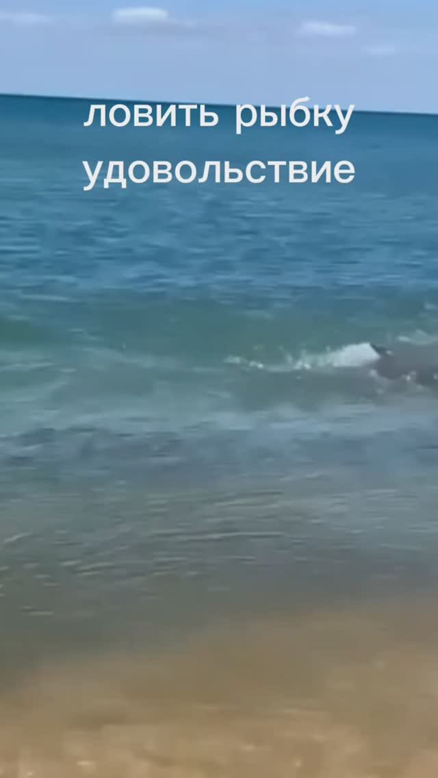 ловить рыбку- удовольствие