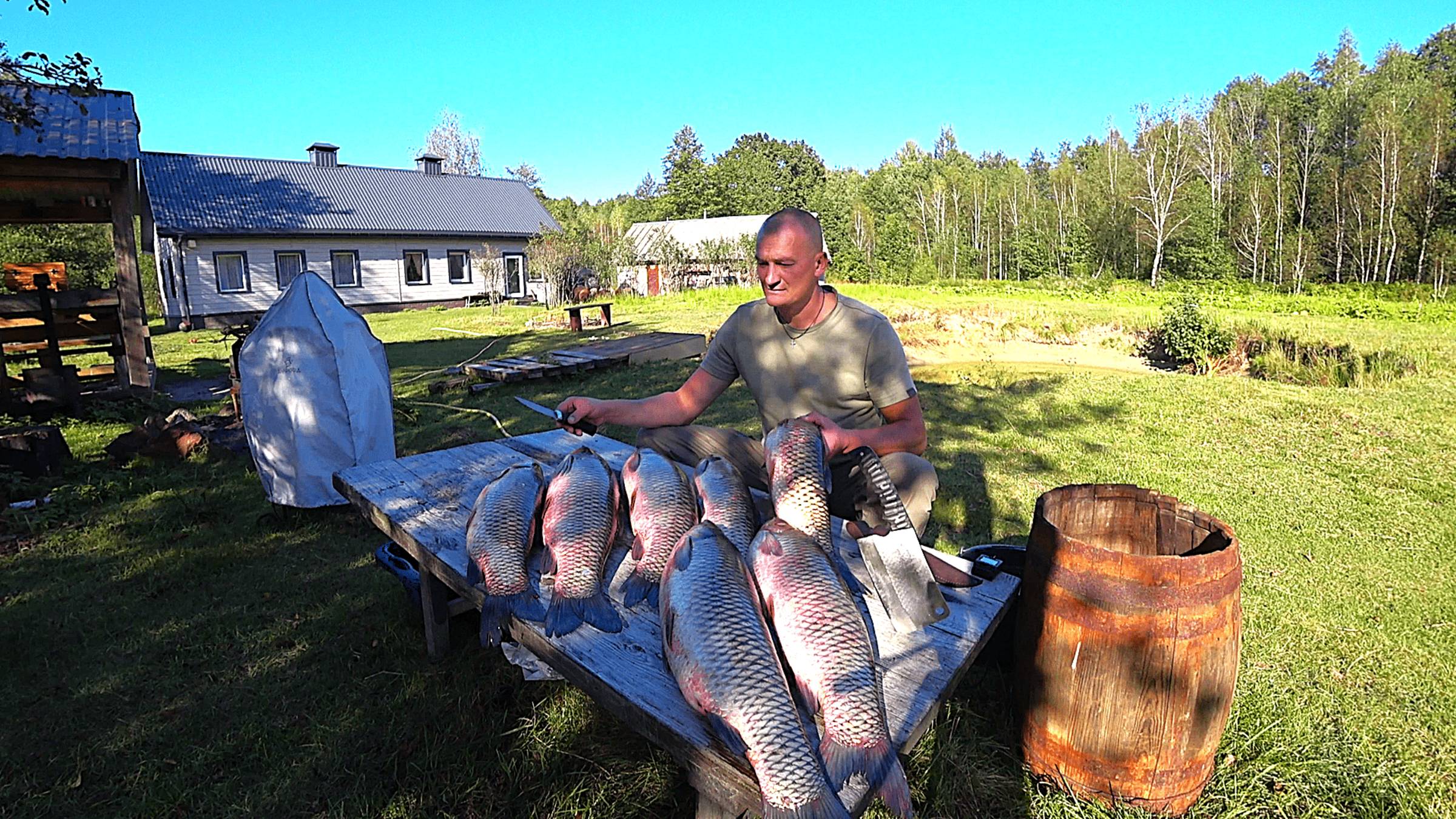 АМУРЫ как ПОРОСЯТА , ПОЙДУТ на БАЛЫК. ТИХАЯ ЖИЗНЬ ЧЕЛОВЕКА СРЕДИ ЛЕСА. №359 смотреть онлайн