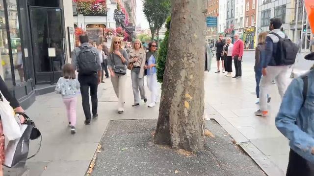 Funniest moments on camera Bushman Prank смотреть онлайн