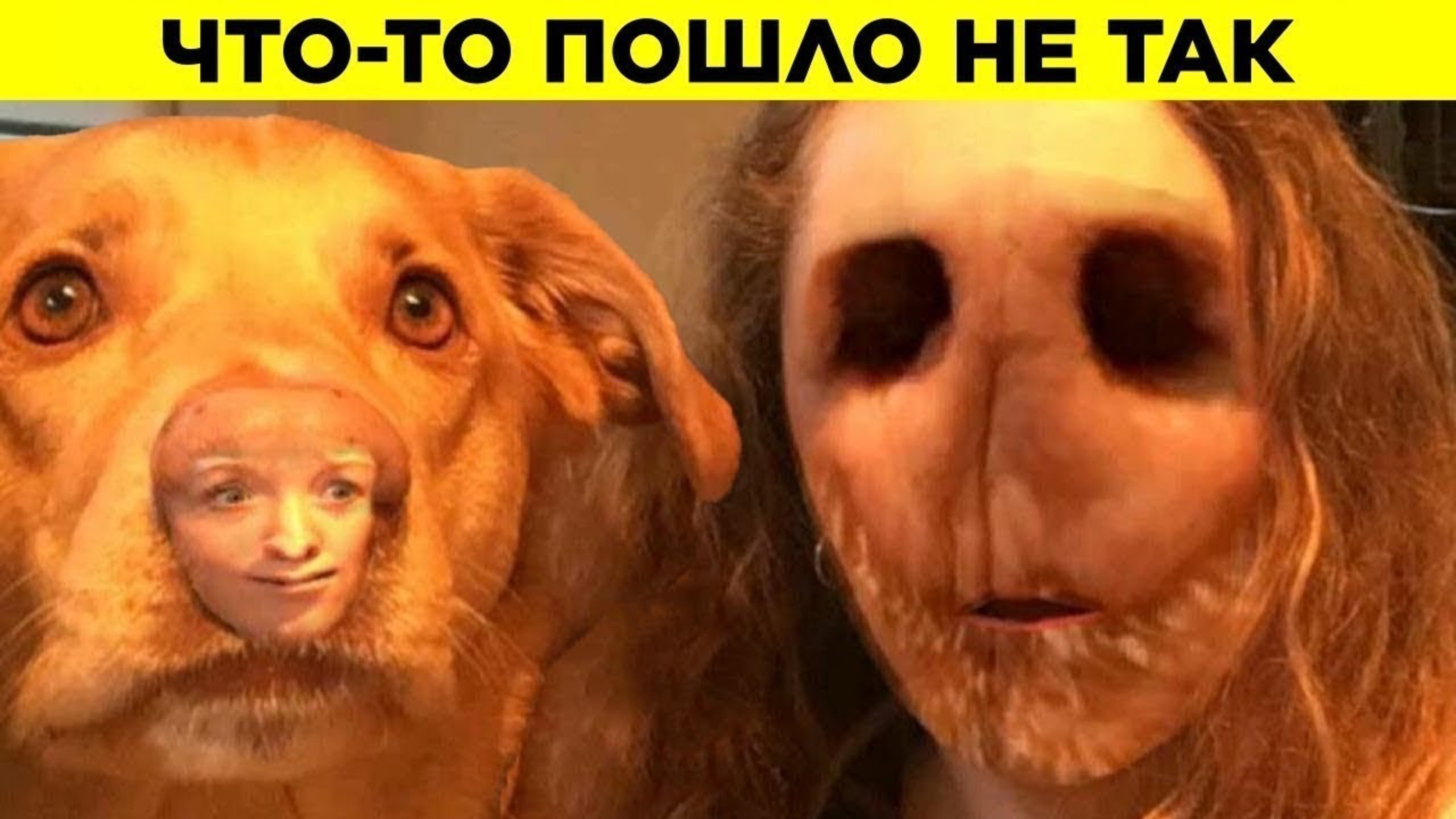 Планы, Которые Пошли Наперекосяк. Часть 5 смотреть онлайн