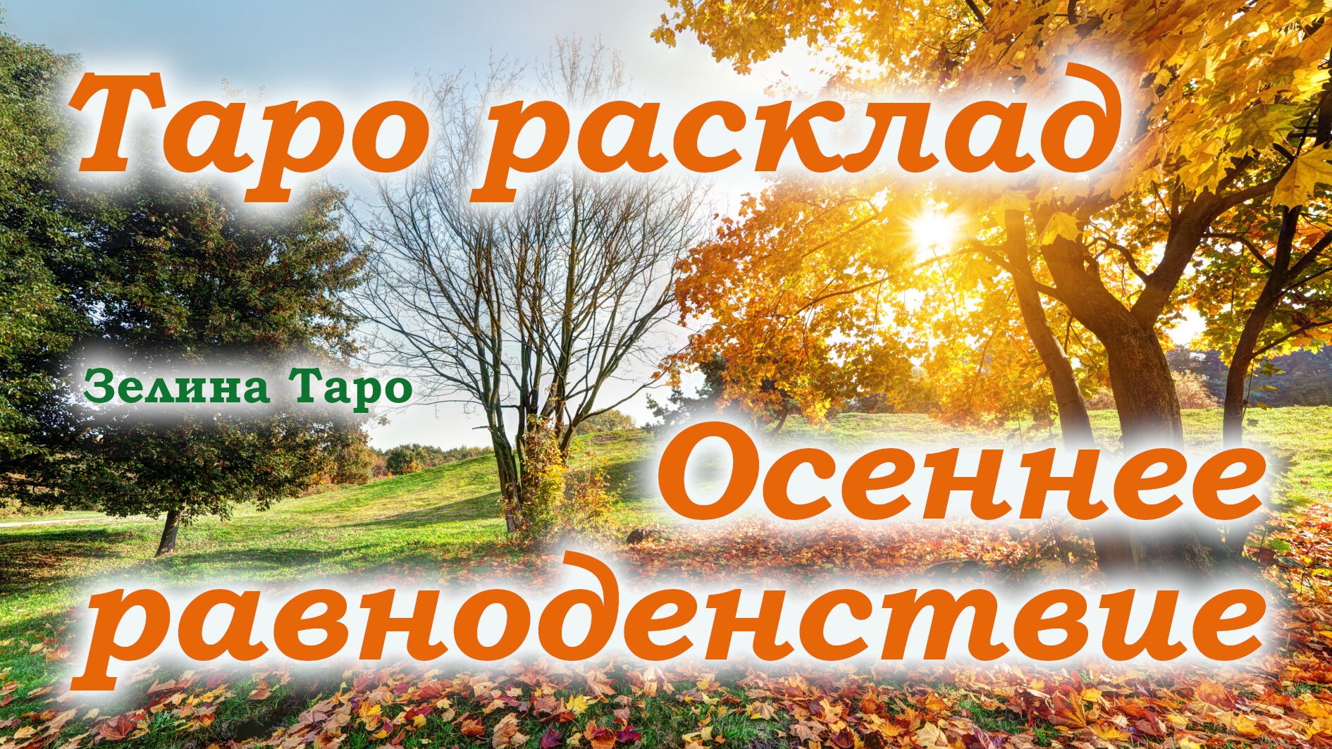✨ ОСЕННЕЕ РАВНОДЕНСТВИЕ | МАБОН | ТАРО расклад по вариантам смотреть онлайн