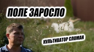 Мой кошмарный урожай-2025. Культиватор сломан, сорняки всё съели