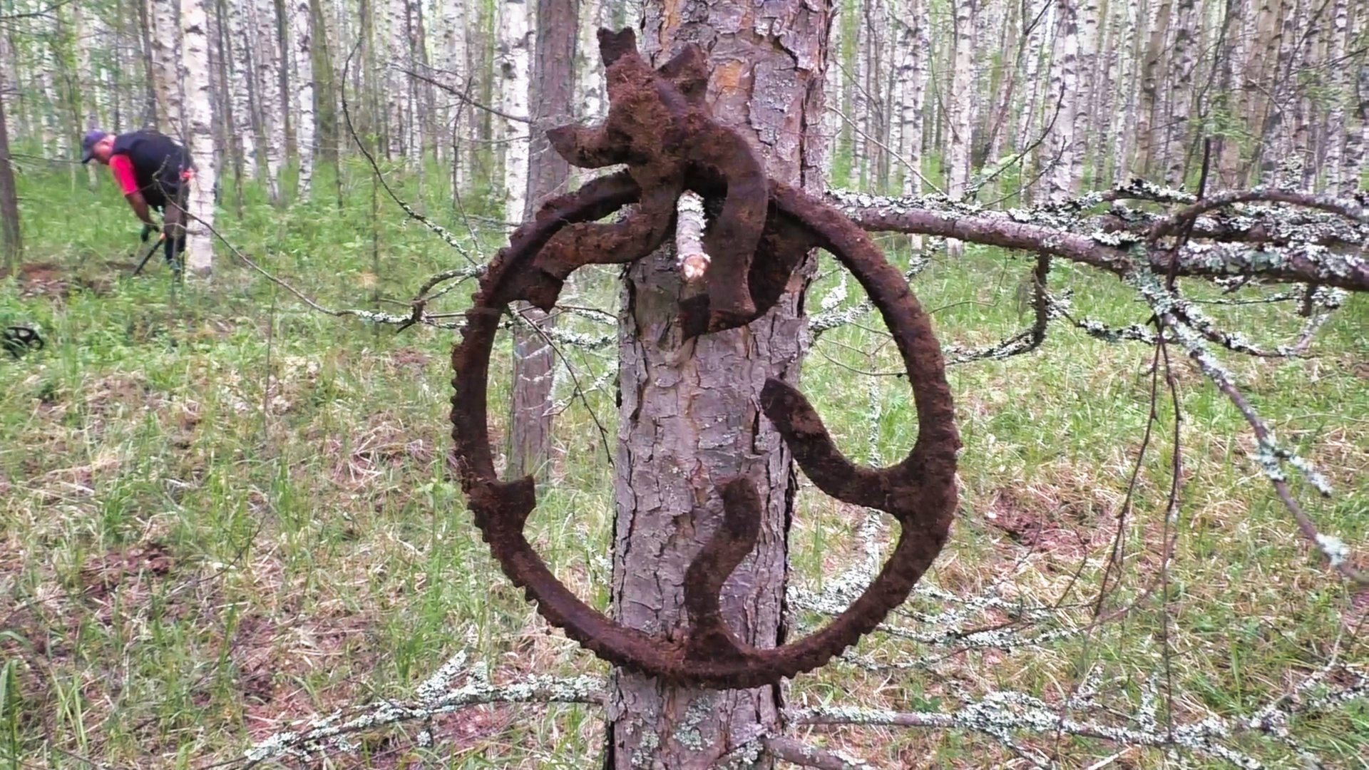 Поиск сокровищ в глухом лесу с металлоискателем! Что мы нашли? смотреть онлайн