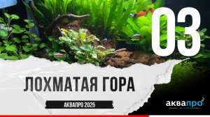 03. Лохматая гора. #АкваПро