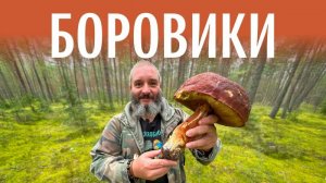 Для новичков. Боровики. Михаил Вишневский