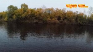 Однажды на Исети: история о неуловимой щуке 😃