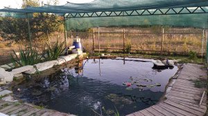 Пылесос для пруда своими руками. Илосос.