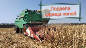 Уборка неурожая кукурузы 2025!