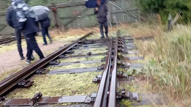 9379.mp4 смотреть онлайн