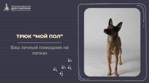 Трюк "Моем пол"