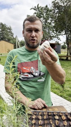 Вяленые СЛИВЫ🔥🔥🔥🔥💯💯💯