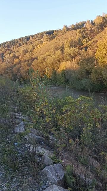 Читаю свои стихи на берегу реки Майма смотреть онлайн