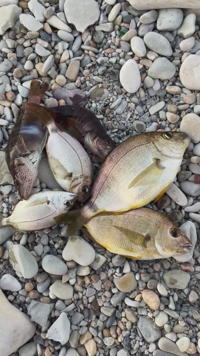 Вечерняя рыбалка на море в сентябре смотреть онлайн