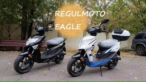 Regulmoto EAGLE/ экспресс-обзор